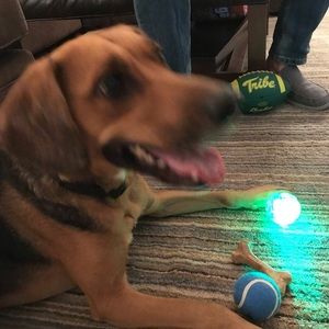 Meet your Posher, Kristen